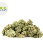 découvrez le meilleur cbd pas cher en 2025 : qualité garantie, offres exclusives et conseils pour choisir vos produits au meilleur prix.