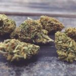 découvrez le meilleur cbd pas cher en 2025 : qualité optimale, prix imbattables et conseils pour acheter malin.