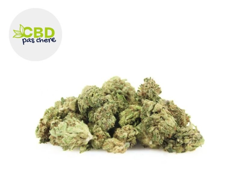 découvrez le meilleur cbd pas cher en 2025 : qualité garantie, offres exclusives et conseils pour choisir vos produits au meilleur prix.