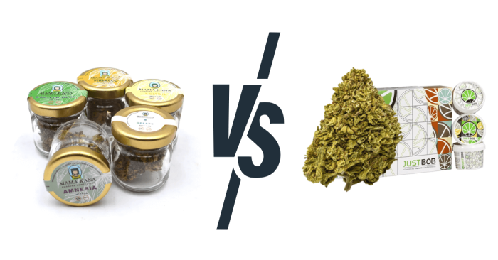 découvrez le meilleur cbd pas cher en 2025 : qualité, efficacité et prix imbattables pour votre bien-être au naturel.