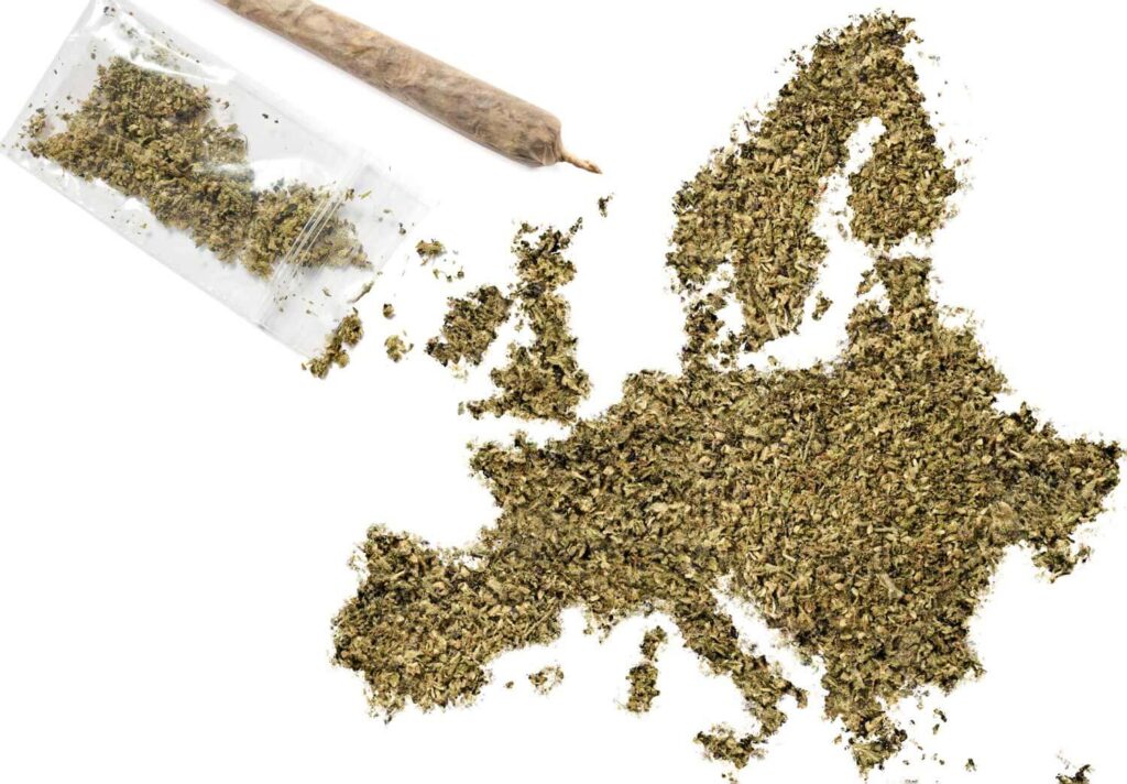 découvrez les prix du cbd en belgique pour 2025 : comparatif, tendances et conseils pour acheter au meilleur tarif.