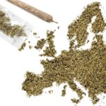 découvrez les prix du cbd en belgique pour 2025 : comparatif, tendances et conseils pour acheter au meilleur tarif.