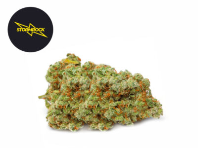 découvrez les prix du cbd en belgique pour l'année 2025 : tendances, comparatifs et conseils pour acheter au meilleur tarif.