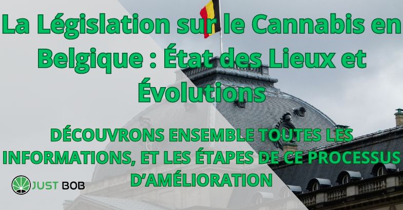 découvrez les prix du cbd en belgique pour 2025 et profitez des meilleures offres sur les produits légaux et de qualité.