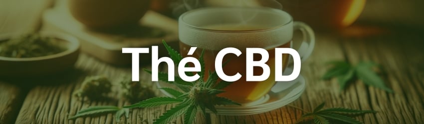 découvrez où acheter du cbd pas cher à saint-nicolas. profitez de produits de qualité à prix abordables près de chez vous.