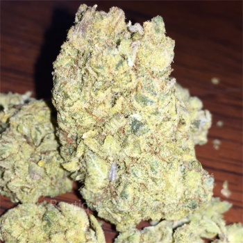 découvrez notre guide complet des boutiques de cbd pas chères à anvers pour trouver les meilleurs produits au meilleur prix facilement.