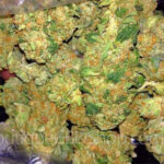 découvrez les meilleures offres de cbd à charleroi : qualité, prix avantageux et conseils personnalisés pour profiter pleinement des bienfaits du cannabidiol.