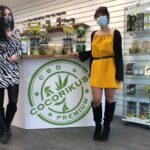 découvrez les boutiques cbd économiques à aarschot offrant une large gamme de produits de qualité à prix abordables pour tous vos besoins en cannabidiol.