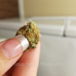 découvrez les meilleures boutiques cbd à sint-niklaas en 2026. produits de qualité, conseils experts et nouveautés du marché local pour votre bien-être.