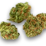 découvrez notre sélection de cbd pas cher à dilbeek, des produits de qualité à prix abordables pour votre bien-être au quotidien.