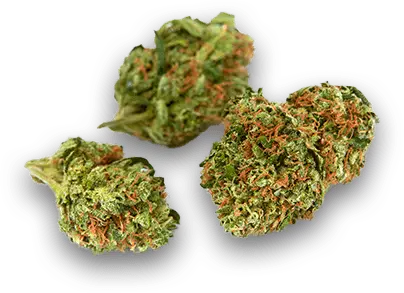 découvrez notre sélection de cbd pas cher à dilbeek, des produits de qualité à prix abordables pour votre bien-être au quotidien.