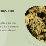 découvrez notre sélection de cbd pas cher à jodoigne, qualité garantie et prix attractifs pour tous vos besoins en cannabidiol.